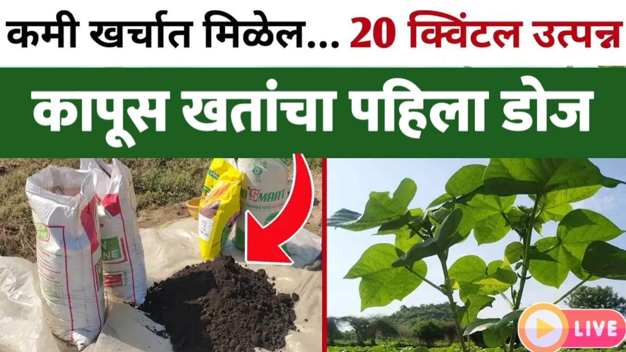  Kapus khat niyojan