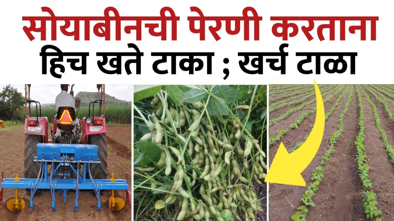 सोयाबीन खत व्यवस्थापन