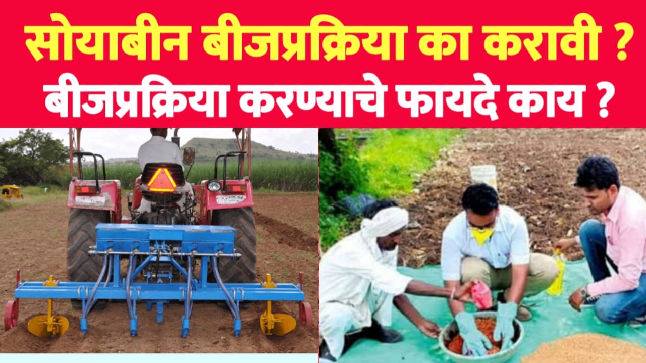 बिजप्रक्रिया