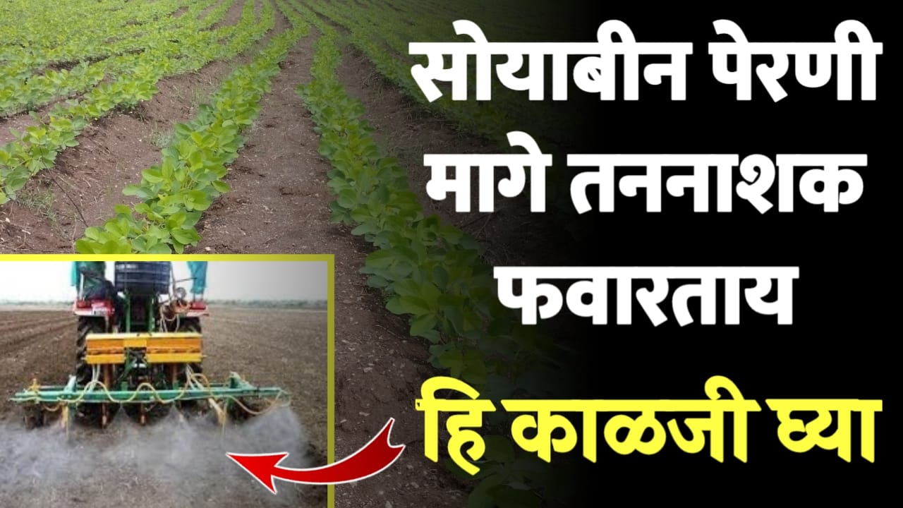 सोयाबीन तणनाशक